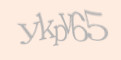 Защитный код
