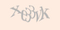 Защитный код
