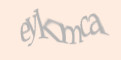 Защитный код