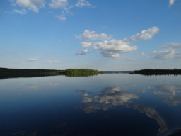 Фото Кузьменко Александра