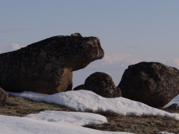 Фото Кузьменко Александра