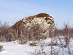 Фото Кузьменко Александра