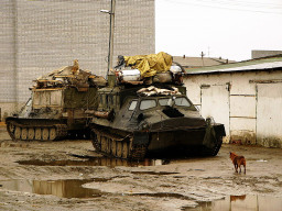 Фото Кузьменко Александра