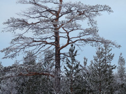 Фото Кузьменко Александра