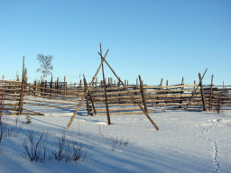 Олений загон (кораль)