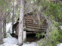 Древний саамский амбар в лесу