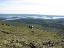 Северные просторы