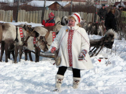 Оленьи гонки. Саамская болельщица.