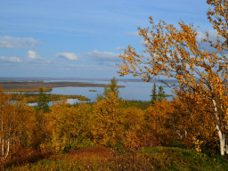 Золотая осень