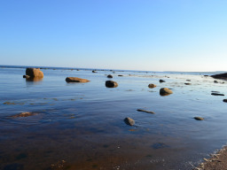 Белое море в районе Кузрека