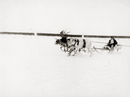 День оленевода. Село Ловозеро. 1970 год