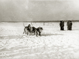 День оленевода. Село Ловозеро. 1970 год