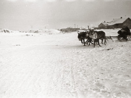 День оленевода. Село Ловозеро. 1970 год