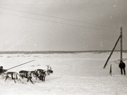 День оленевода. Село Ловозеро. 1970 год