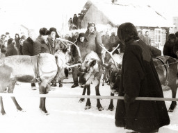 День оленевода. Село Ловозеро. 1970 год