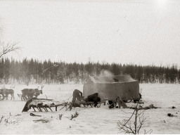 День оленевода. Село Ловозеро. 1970 год