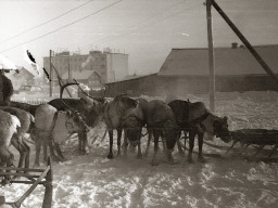 День оленевода. Село Ловозеро. 1970 год