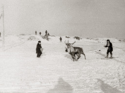 День оленевода. Село Ловозеро. 1970 год