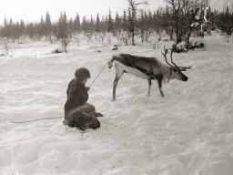 День оленевода. Село Ловозеро. 1970 год