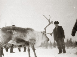 День оленевода. Село Ловозеро. 1970 год