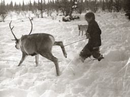 День оленевода. Село Ловозеро. 1970 год