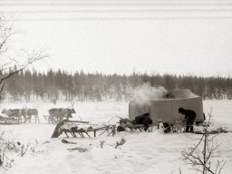 День оленевода. Село Ловозеро. 1970 год