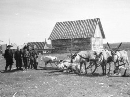 Село Воронье, 1956 год