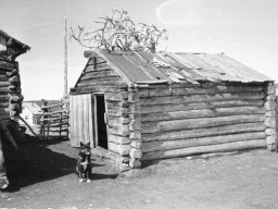 Село Воронье, 1954 год. Амбар (айххт)