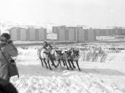 Город Мурманск, 1981 год. Праздник Севера