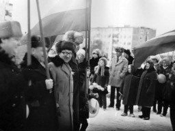 Демонстрация трудящихся, 1970-е