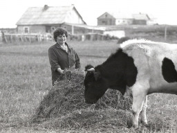 Село Сосновка 1980-х