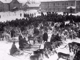 Перед началом первой гонки оленеводов. Мурманск. 1937 год