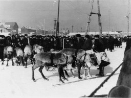Праздник Севера. Мурманск. 1955 год.