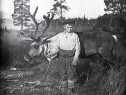 Саамский мальчик. 1930-е