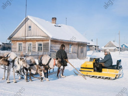 Село Ловозеро - областной центр оленеводства. 1977 г.