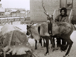 Оленевод у молочной кухни на ул.Колхозная - 1. 1970-е