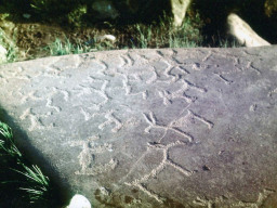 Подготовленный к транспортировке камень с петроглифами из Чальмны-Варрэ в музей села Ловозеро. 1987 год