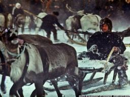 Праздник Севера и День оленевода. Ловозеро. Конец 80-х