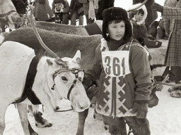 Праздник Севера и День оленевода. Ловозеро. Март 1983 года