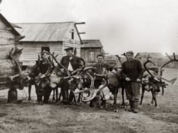 В селе Ловозеро. 1954 год.