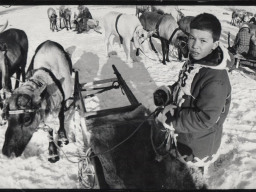 Алексей Яковлев - участник кружка -Юный оленевод- перед стартом на 51 Празднике Севера. 1985.