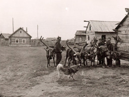 Саамы с оленьей упряжкой. 1954-1958 гг.