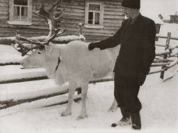 Керт Георгий Мартынович возле белого оленя. 1958 г. Керт Г.М.