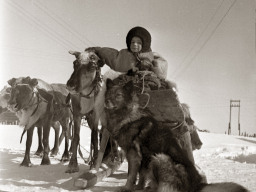 Друзья. Сын оленевода. 1956 г.