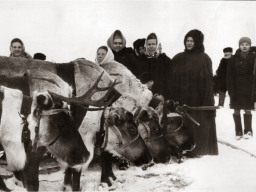 На празднике «День оленевода».  1968 г.