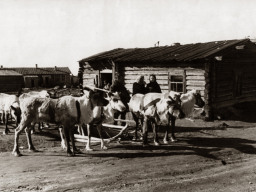 Село Ловозеро улица Советская. 1950-е гг.