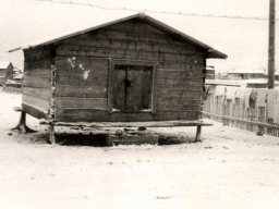 Амбар в с.Ловозеро. 1950-е гг.