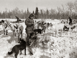 Оленевод. Ловозеро. Февраль 1981 года