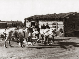 Ловозеро улица Советская. 1950-е
