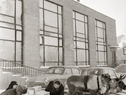 Универмаг "Тундра". Село Ловозеро. Февраль 1970 года